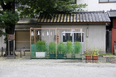 写真7