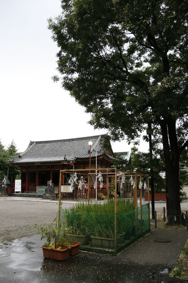 写真7