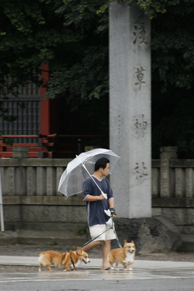 写真10