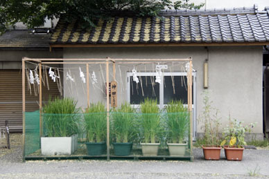 写真7
