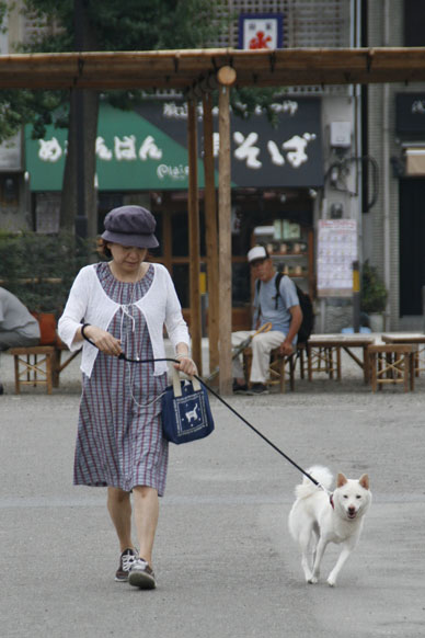 写真7