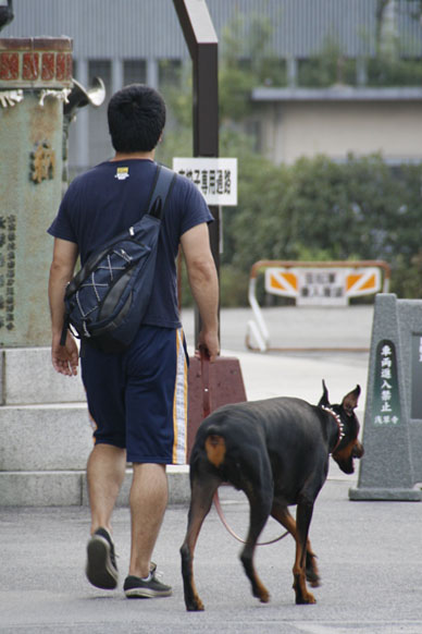写真10