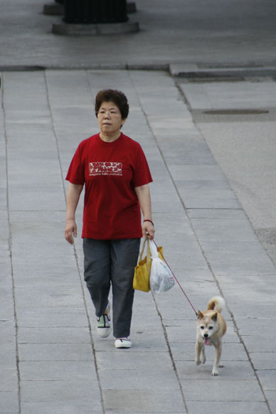 写真10