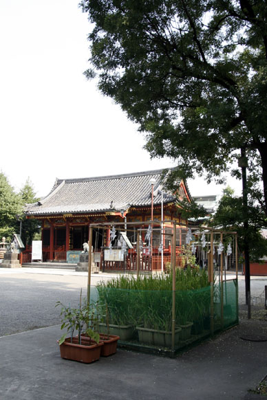 写真10