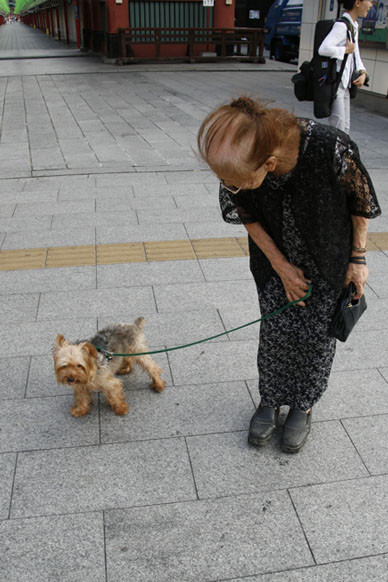 写真10