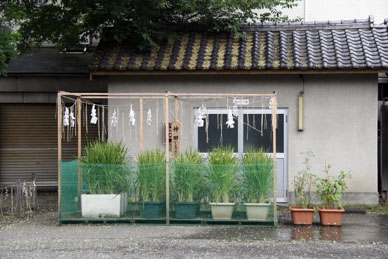写真3