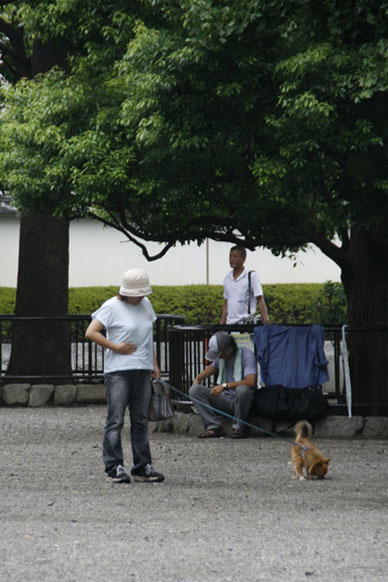 写真7