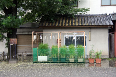 写真7
