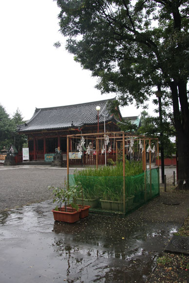 写真10