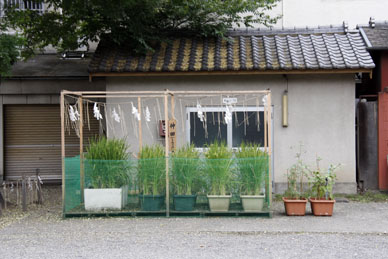 写真7
