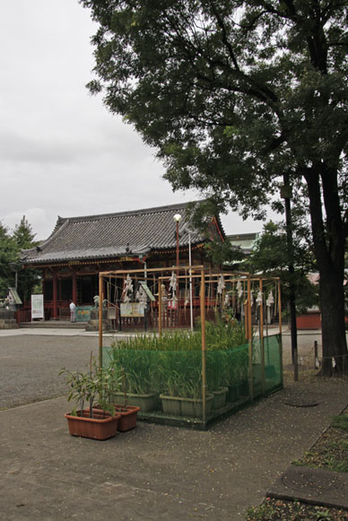写真10