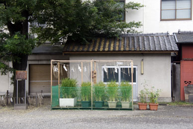 写真7