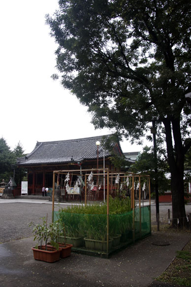 写真10