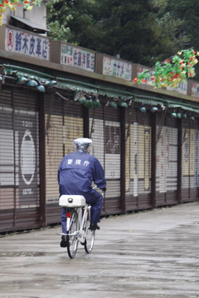 写真10