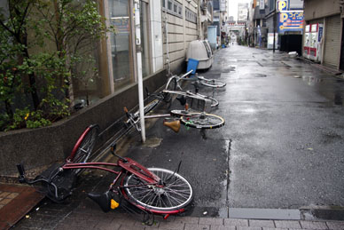 写真10