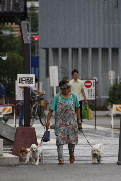 写真10