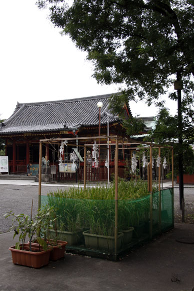 写真10