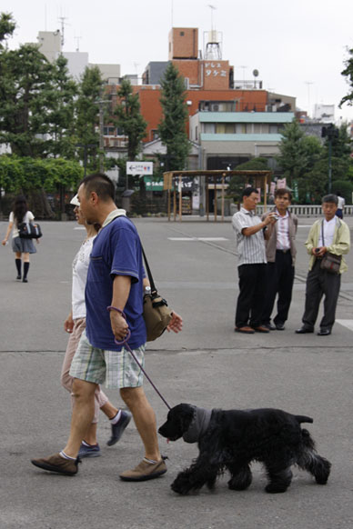 写真10
