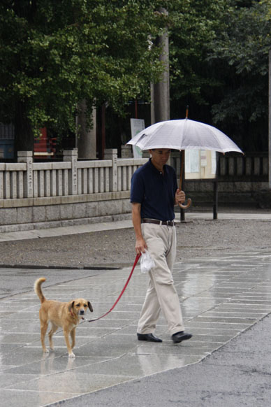 写真10
