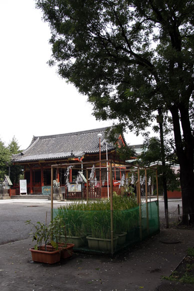 写真10