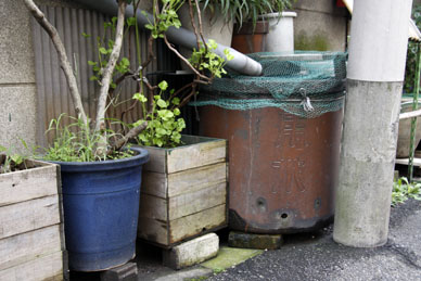 写真10