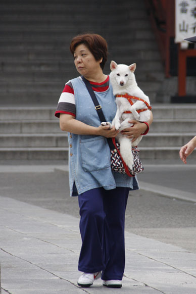 写真7