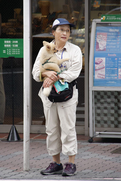 写真10