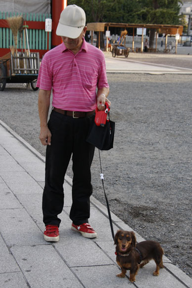 写真7