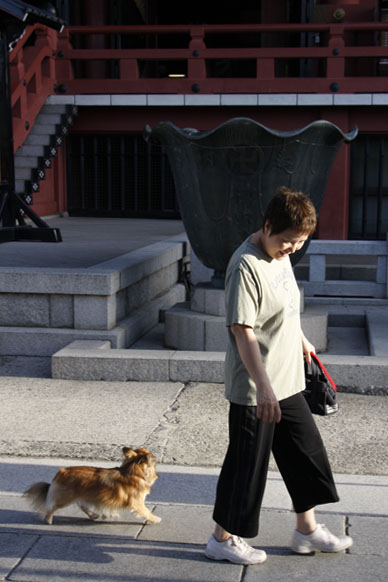 写真10