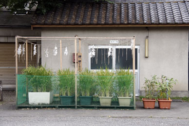 写真7