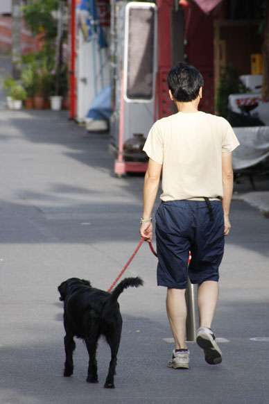写真10