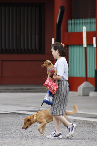 写真10