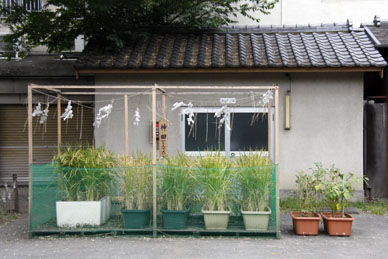 写真000