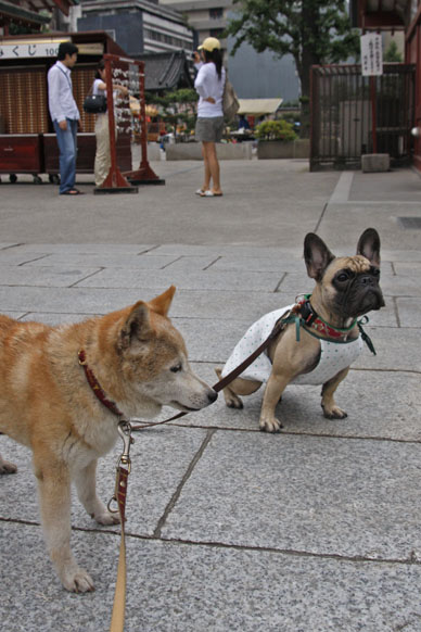 写真7