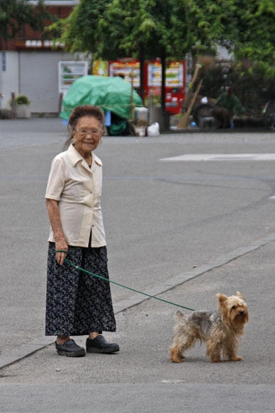 写真7