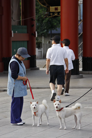 写真3
