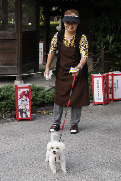 写真7