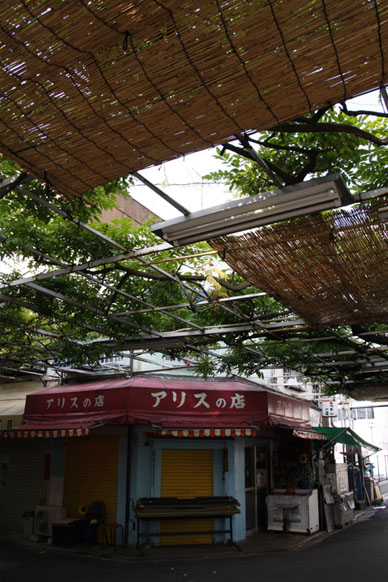 写真10
