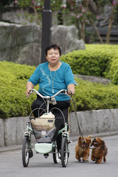 写真10