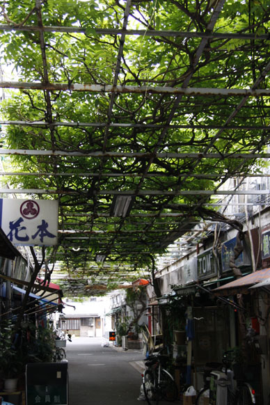 写真10