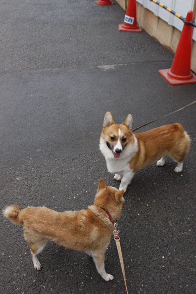 写真000