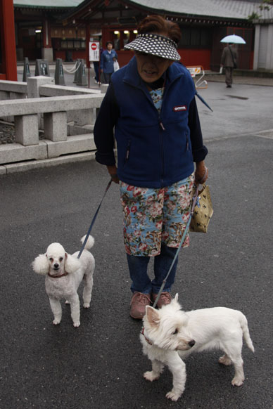 写真000