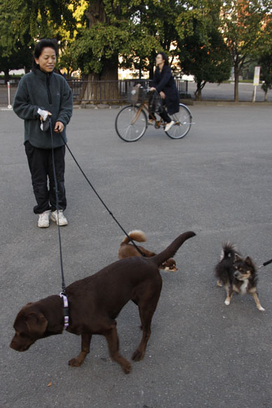 写真10