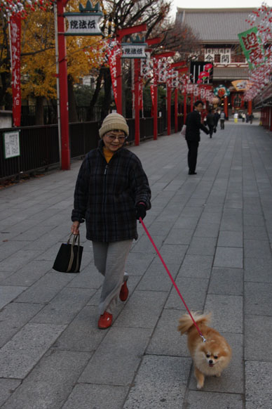 写真10