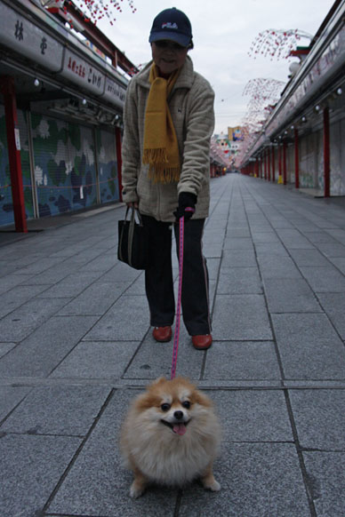 写真10
