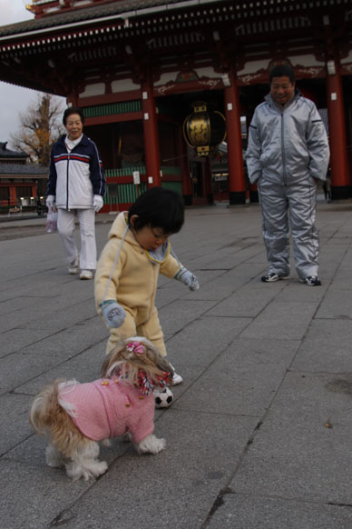 写真10