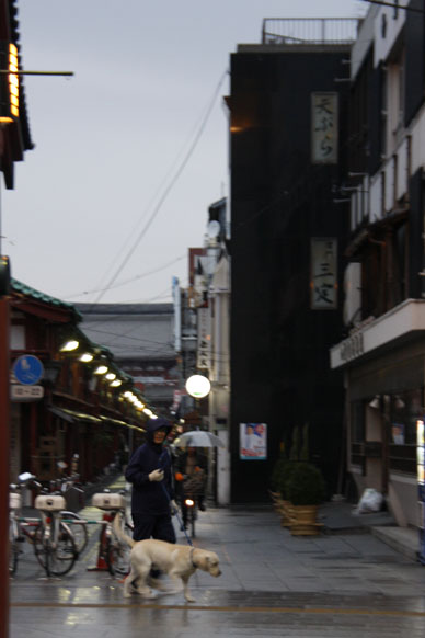 写真10
