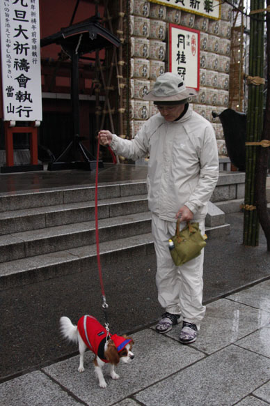 写真10