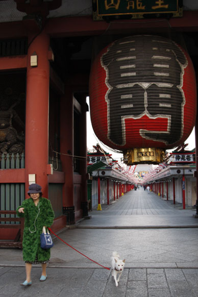 写真10