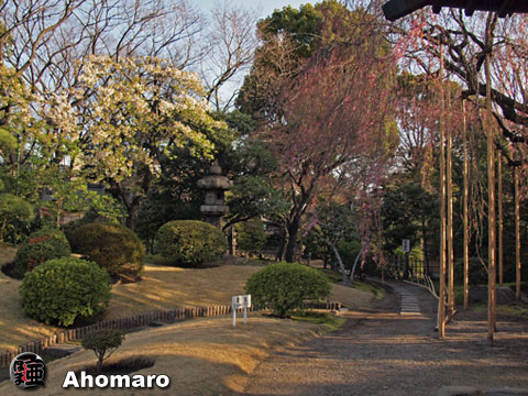 写真00
